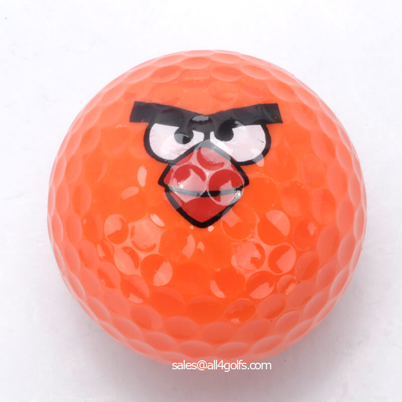 Bird Golf Ball Supplier