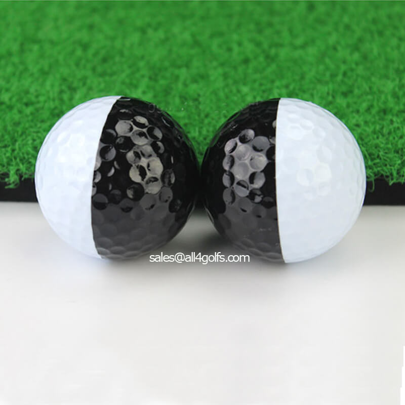 Best Practice Golf Ball Contrasting White And Black Ball
